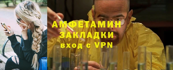 молекула духа Бородино