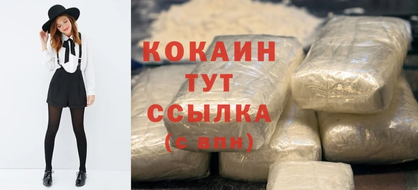 твердый Верхний Тагил