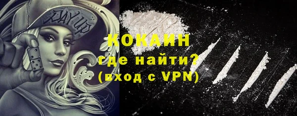 молекула духа Бородино