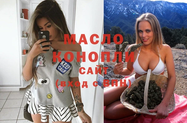молекула духа Бородино